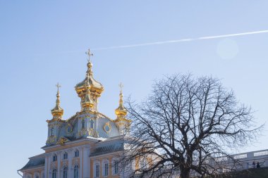 Peterhof şehir Park Grand Palace pınarlarına.