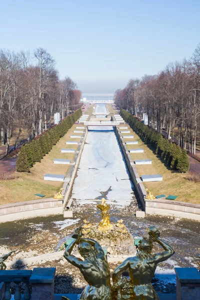 Samson fountain in the city Park of Peterhof. — Stock Photo, Image