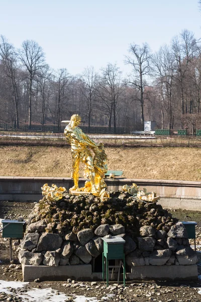 Samson fountain in the city Park of Peterhof. — Stock Photo, Image