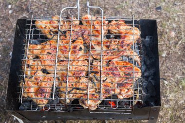 Ormanın içinde ızgarada pişirme tavuk kanadı