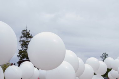 Açılması Stella ve çelenk memor döşeme