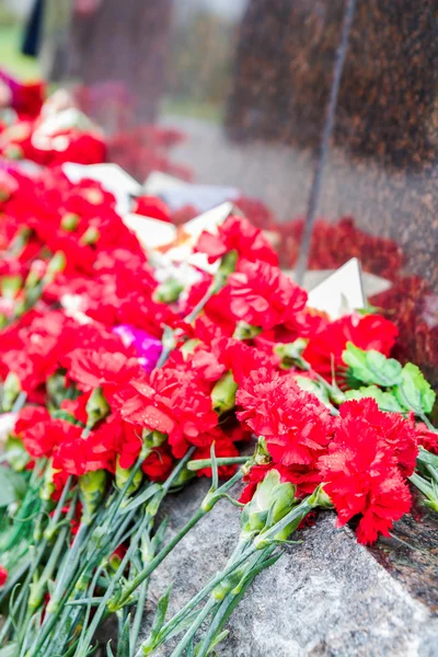 Colocando claveles rojos en el monumento — Foto de Stock