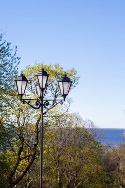 doğa arka plan üzerinde dört tonları ile elektrik direği