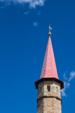 Tarikat Palace Gatchina siyah göl kıyısında.