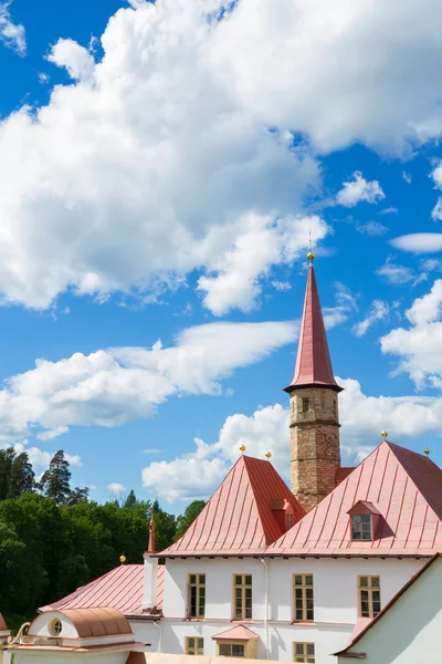 Leningrad Region Gatchina Russia June 2015 Priory Palace Shore Black — Stock Photo, Image