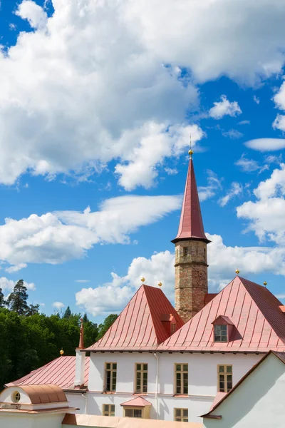 Leningrad Region Gatchina Russia June 2015 Priory Palace Shore Black — Stock Photo, Image