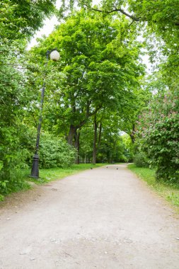 Bir sokak lambası ile yeşil yaz sokak