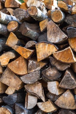 Bahçede bir yığın yığın kuru günlükleri