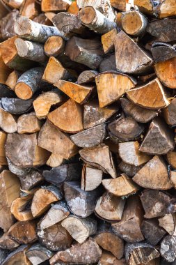 Bahçede bir yığın yığın kuru günlükleri