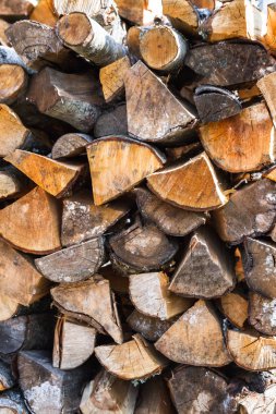 Bahçede bir yığın yığın kuru günlükleri