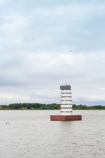 Санкт Петербург Кронштадт Россия Июля 2015 Форты Городе Свободном — стоковое фото