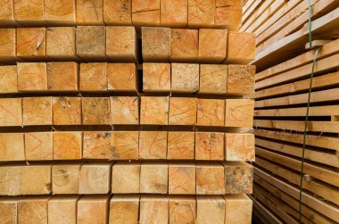 Açık bir inşaat temelinde ahşap kirişler