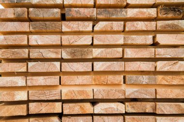 Katlanmış inşaat temel bir yığın üzerinde bir ev inşa etmek için ahşap plakalar