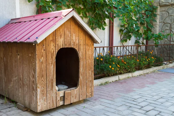 木造犬夏の庭で仏 — ストック写真