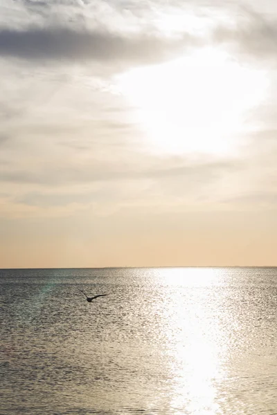 Schöner Sonnenuntergang am Meer im Sommer — Stockfoto