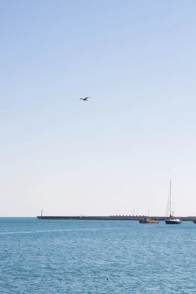 Evpatoria Krim Augusti 2015 Strandpromenaden Vid Svarta Havet Evpatoriya Krim — Stockfoto