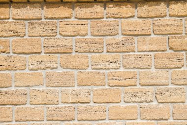 Doğal malzeme kabuk