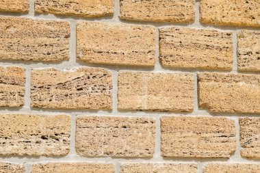 Doğal malzeme kabuk