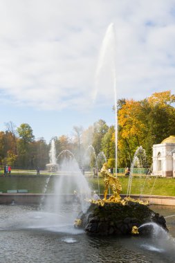 Peterhof Parkı çeşmeler sonbaharda