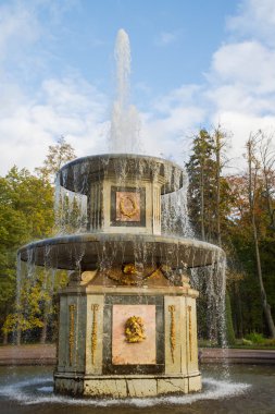 Sonbahar Peterhof parkta pınarlarına