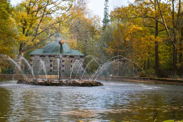 Fonte do sol no parque de Peterhof — Fotografia de Stock