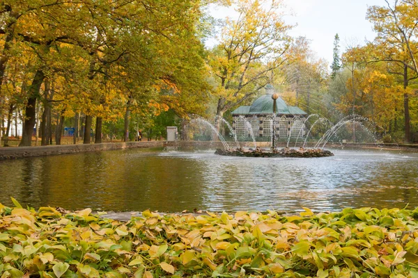 Fontaine du soleil dans le parc de Peterhof — Photo