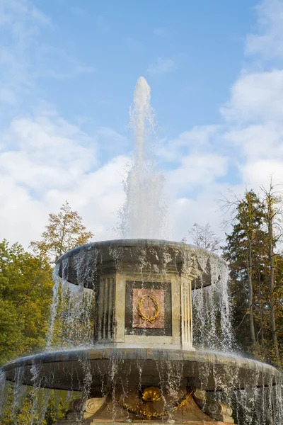 Fuentes en el parque en otoño Peterhof — Foto de Stock