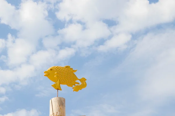 Złota rybka w niebo — Zdjęcie stockowe