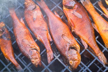 Bir smokehouse balık füme