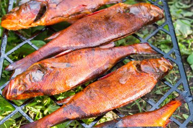 Sıcak füme taze balık pişmiş