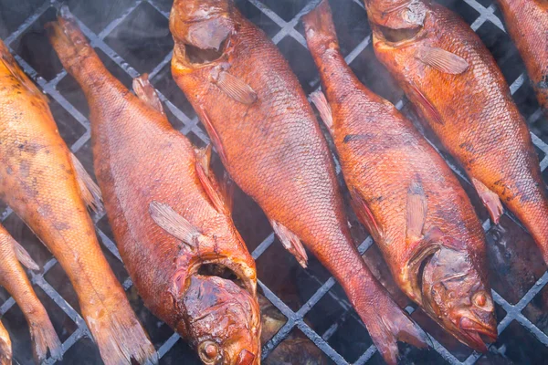 Bir smokehouse balık füme