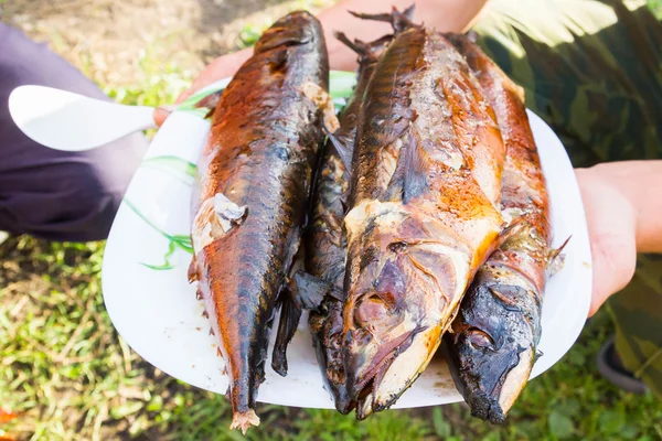 Ugotowany gorący świeże ryby wędzone — Zdjęcie stockowe