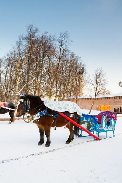 Chevaux traîneau tiré et chariot en hiver — Photo