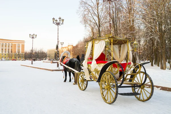 Horses drawn sleigh and carriage in winter — Stock Photo, Image