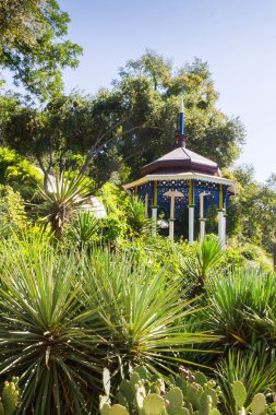 Yalta Nikitsky Botanik bahçesinde