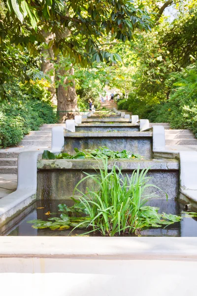 El jardín botánico Nikitsky en Yalta — Foto de Stock