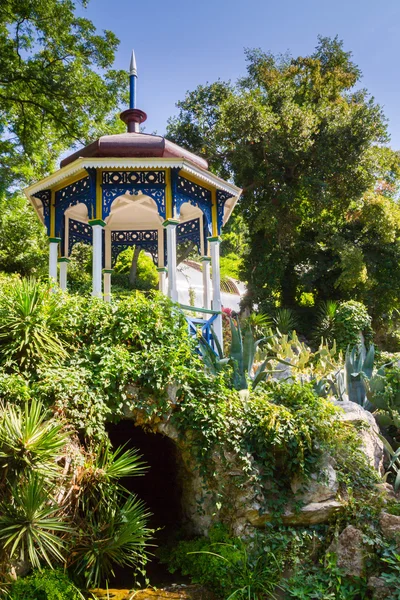 Le jardin botanique Nikitsky à Yalta — Photo