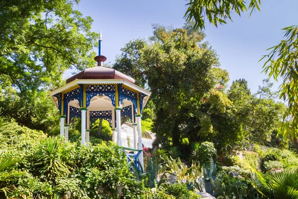 Yalta Nikitsky Botanik bahçesinde