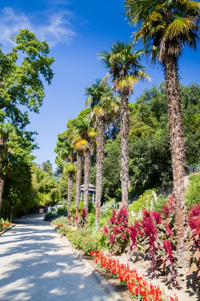 Ogród botaniczny Nikitskiego w Jałcie — Zdjęcie stockowe