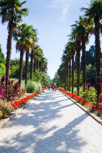 Ogród botaniczny Nikitskiego w Jałcie — Zdjęcie stockowe