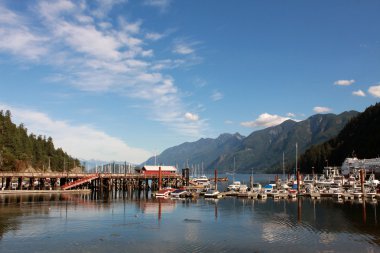 At ayakkabı Bay Marina