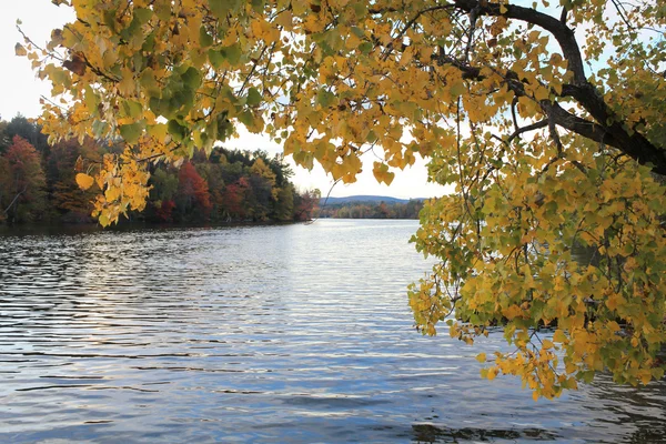 Herfst kleuren aan het meer — Stockfoto