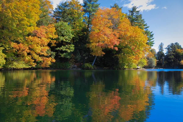 Riflessione colori autunno — Foto Stock