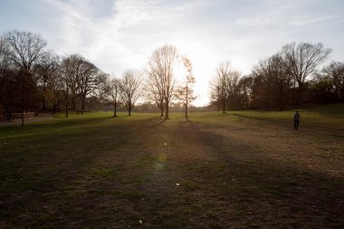 Sonbahar günbatımı Park üzerinde