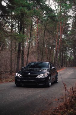 Kyiv, Ukrayna - Kasım 2019. Ormanda siyah renkli BMW M3 F80.