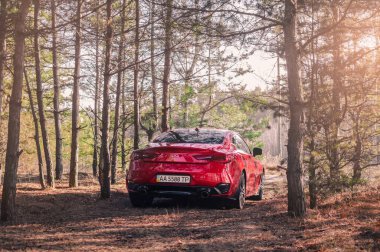 Kyiv, Ukrayna - Kasım 2019. Ormanda Kızıl Infiniti Q60 'lar.