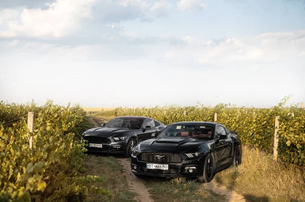 Kherson Ukraine Août 2019 Deux Ford Mustangs Dans Les Vignes — Photo