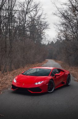  Kyiv, Ukrayna - Kasım 2019. İtalyan süper arabası Lamborghini Huracan sonbahar orman yolunda kırmızı renkte.