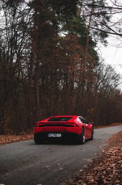  Kyiv, Ukrayna - Kasım 2019. İtalyan süper arabası Lamborghini Huracan sonbahar ormanlarında kırmızı renkte.