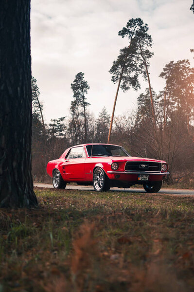 Киев, Украина - ноябрь 2019 года. Классический ретро-автомобиль Ford Mustang 1967 года в красном цвете в осеннем лесу.